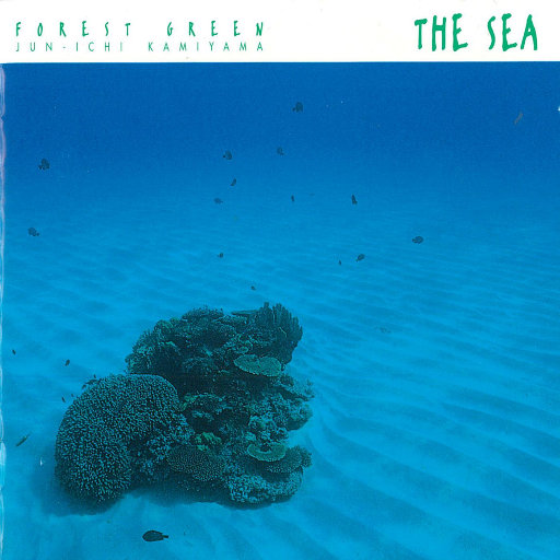 美女光屁股性胶
